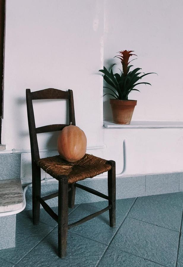 La Loggia Di Na Villa อัลเบงกา ภายนอก รูปภาพ